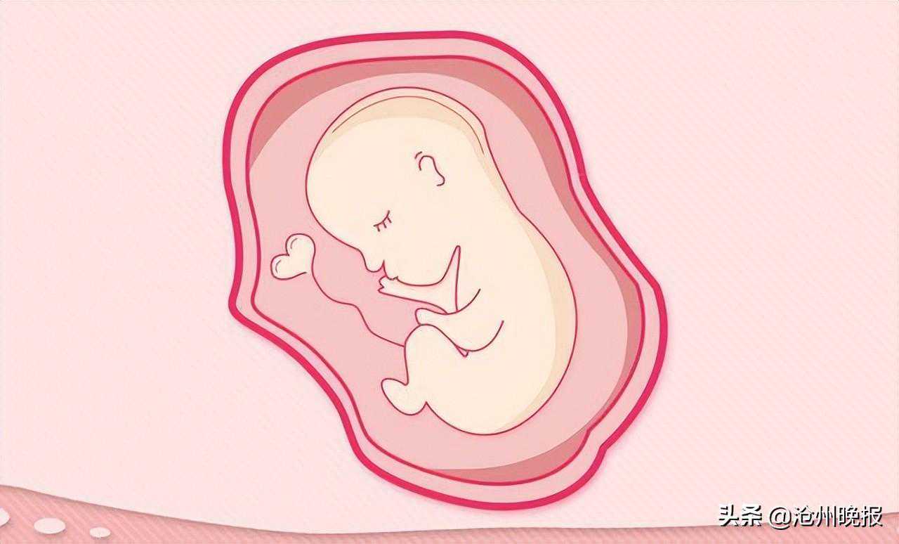 打了500多针，“试管宝宝”终于降生了