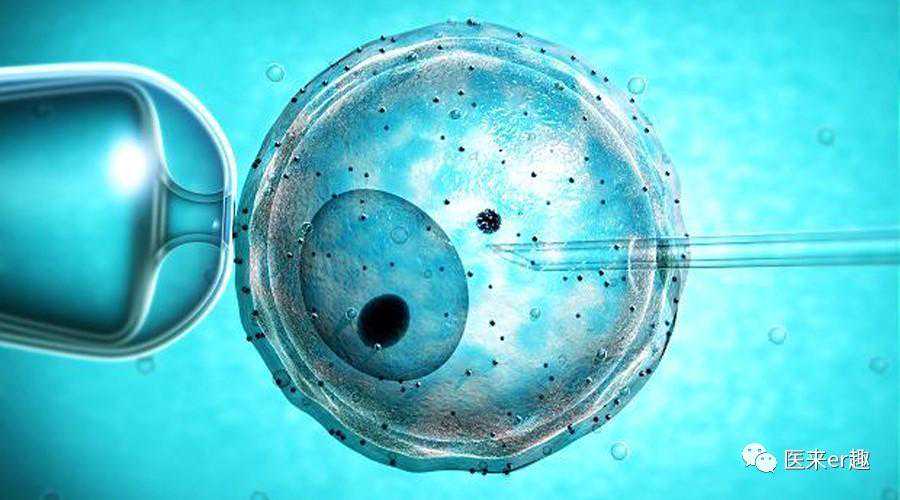 做试管，就长一个卵，我是否该继续？