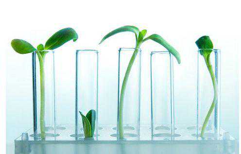 试管移植后长时间的平卧能增加怀孕的几率？试管移植前后的那些事你一定要知道！