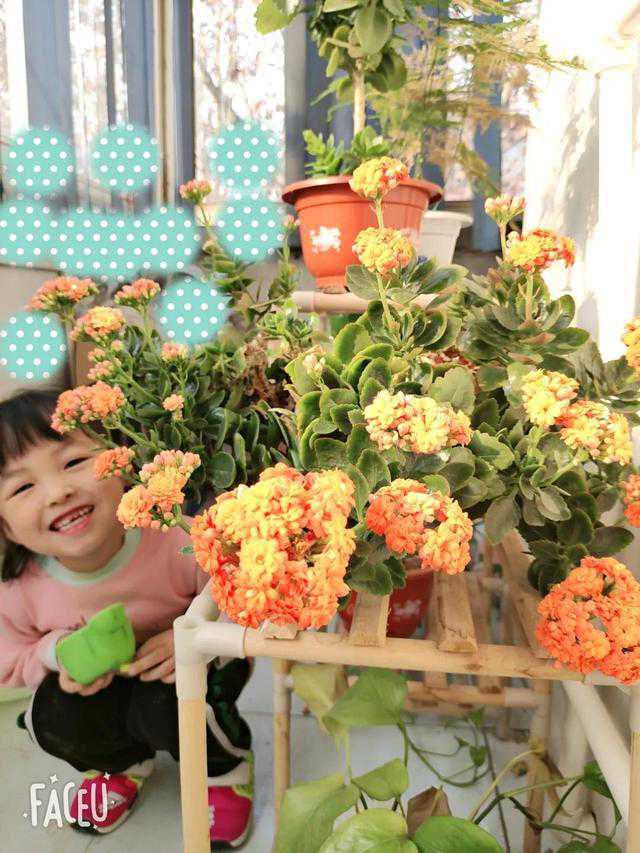 大家胎梦准不准