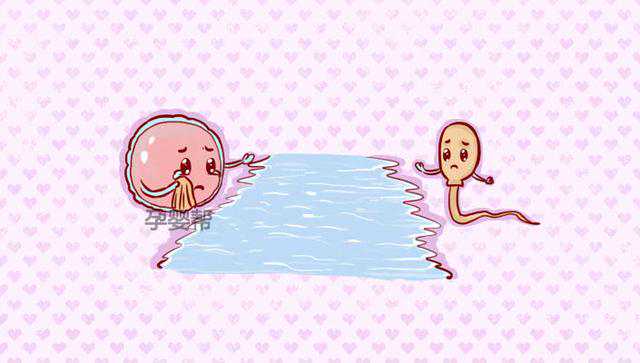 想生个健康宝宝，二胎备孕这些常识一定要知道